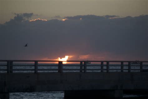 Sunrise - White Street Pier - Fun in Key West