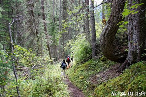 Kootenay National Park + Banff National Park