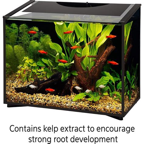 The Best Aquarium Plant Food: A Product Review