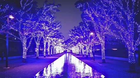 Blue Cave Shibuya Returns to Illuminate Tokyo's Winter Nights