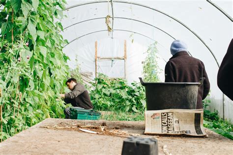 How To Build A High Tunnel Greenhouse And Extend Growing Season