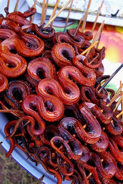 Really Strange Food- Shishkobob Snakes (With images) | World street food, Weird food, Chinese ...