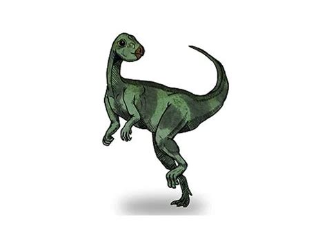 Qantassaurus | Description, Size, Fossil, Diet, & Facts