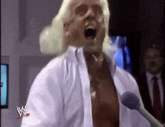 Ric Flair Gif - IceGif