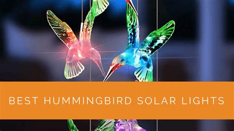 Best Hummingbird Solar Lights for 2024 - Hummingbird-shaped Lights Powered by Solar Energy ...