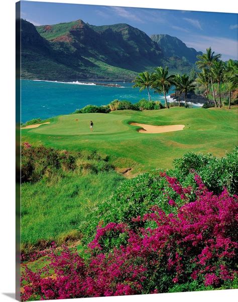 United States, Hawaii, Kauai island, Lihue, Kalapaki bay, Lagoons golf course Wall Art, Canvas ...