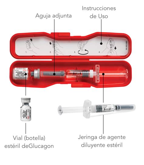 Todo lo que debes conocer sobre el glucagon