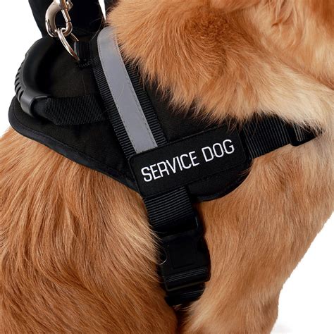 Service Dog Vest with Handle ID Package – USA Service Animal Registration