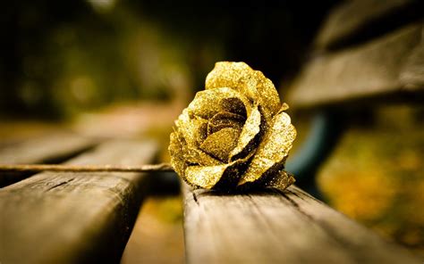 Rose Gold Wallpaper High Resolution