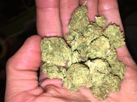 AK-47 | Marijuana Strain Reviews | AllBud