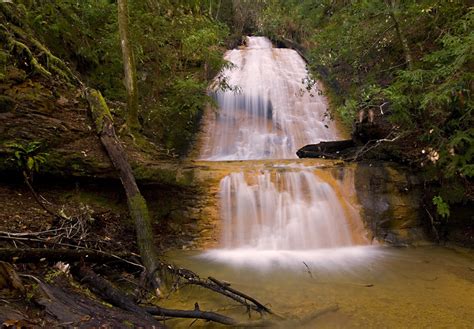 The Cheap Adventurer: Waterfalls and Redwoods in the Bay Area