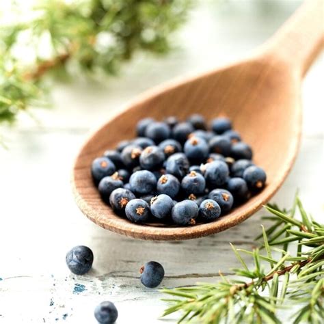 All About Juniper Berries + 11 Recipes