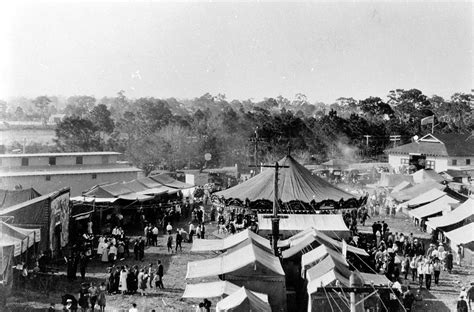 County Fair a Blue Ribbon Event for Local Agriculture