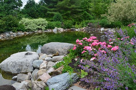 Shelburne Swimming Pond - Landshapes