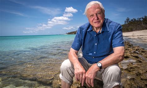 Great Barrier Reef with David Attenborough - Review | Flickreel