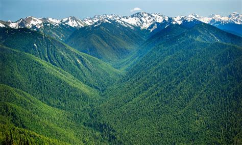 Hurricane Ridge Trails in Olympic National Park - AllTrips