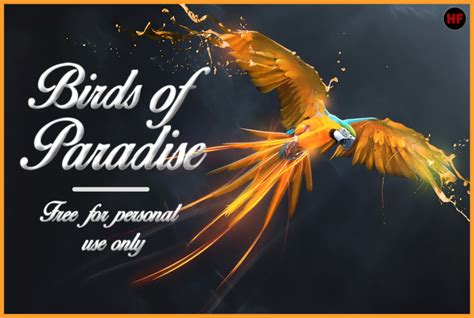 Birds of Paradise Font - Download Fonts