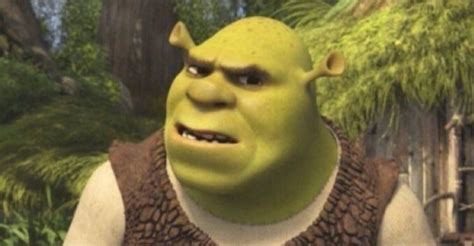 Confused Shrek reaction pic | Shrek, Confused pictures, Funny reaction ...