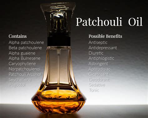 The Ultimate Guide to Patchouli - The Herb Exchange