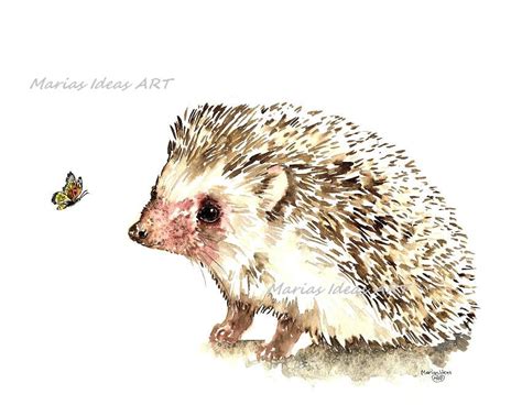 Hedgehog Art, Hedgehog Wall Art, Hedgehog Print, Watercolor Art ...