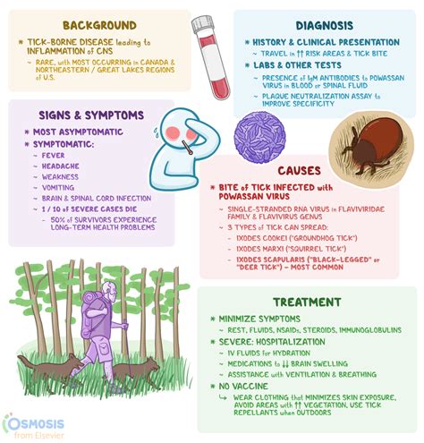 Powassan Virus: What Is It, Causes, Treatment, and More