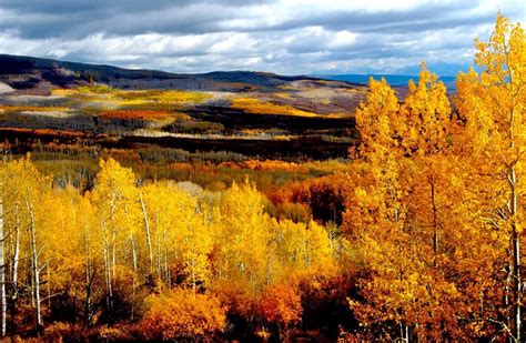 GRAND MESA & COLORADO SCENIC BYWAY | Quality Inn Grand Junction