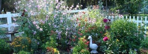 Country Garden Plants for an English Garden Style