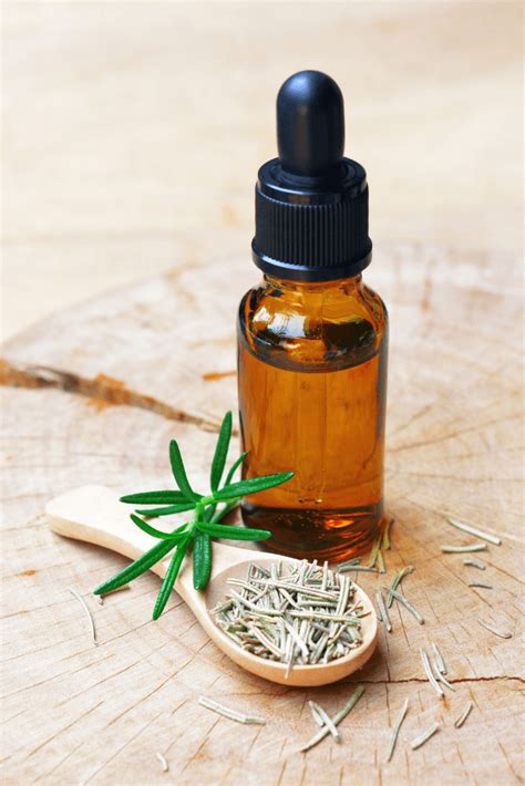 Rosemary CO2 Extract Antioxidant Benefits for Skin: How to Use, Where to Buy + DIY Recipes ...