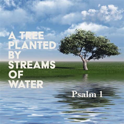 Psalm 1: A Tree Planted by Streams of Water – God Centered Life