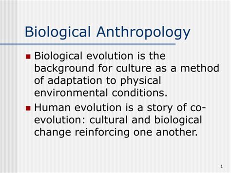 Biological Anthropology ()