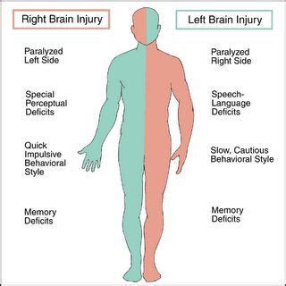 Left and Right Sided Brain Injury | Nurse, Medical knowledge, Nursing ...