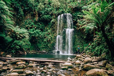 Three Incredible Waterfalls to Visit in the Otway National Park | Travelling Tam