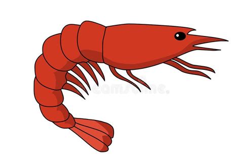 krill clipart 10 free Cliparts | Download images on Clipground 2024