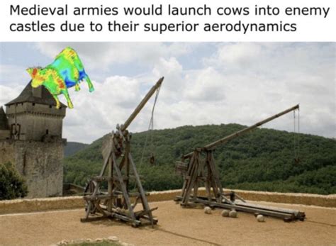 Cow’s Aerodynamics : r/memes