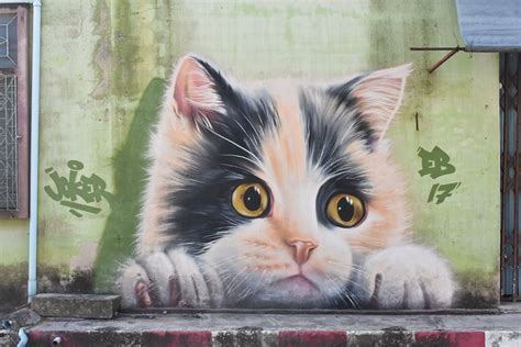 cat graffiti by joker | Street art, Street art graffiti, Art