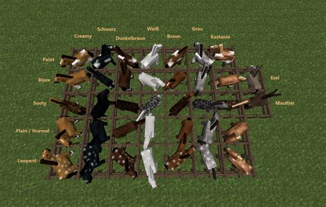 Minecraft Horse Breeds // Conquest by Shedew on DeviantArt