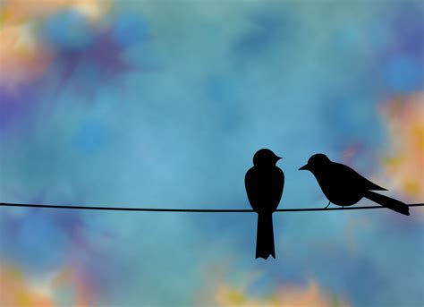 2 birds on a wire - Google Search | Birds, Art, Digital art