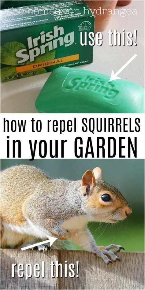 How to Repel Garden Pests with Irish Spring Soap | Garden pests, Irish ...