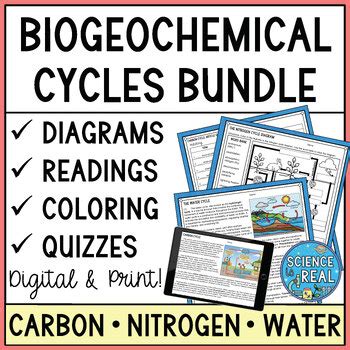 Biogeochemical Cycles Diagrams and Questions - Digital & Printable