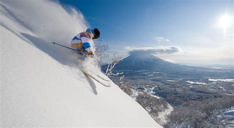 Niseko Accommodation | Blue Powder Tours