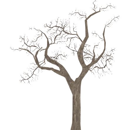 Leafless Tree Drawing | Free download on ClipArtMag