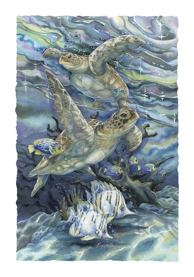 Bergsma Gallery Press :: Products :: Art Cards :: Sea Life :: Sealife :: Turtles / Sea ...