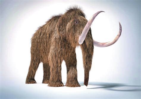 Story of Mammoth Survival Is in the Soil – Monkey Viral