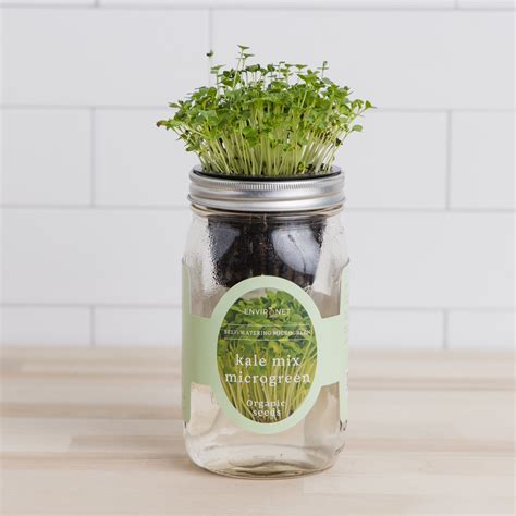 Hydroponic Microgreens Growing Kit - Self Watering Mason Jar Growing Kit with Organic Seeds(Kale ...