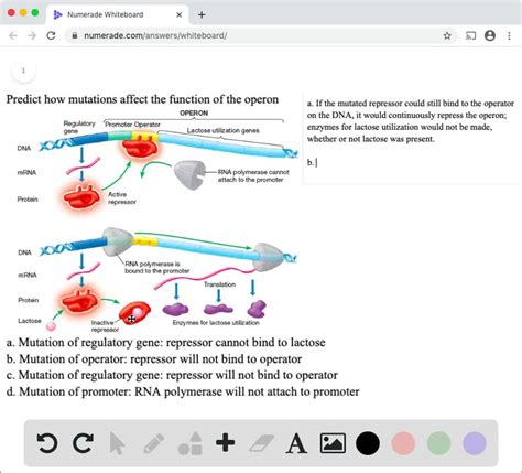 SOLVED:Mutations in any of the genes involved in lac operon will lead ...