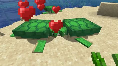 How To Breed Turtles in Minecraft | The Nerd Stash