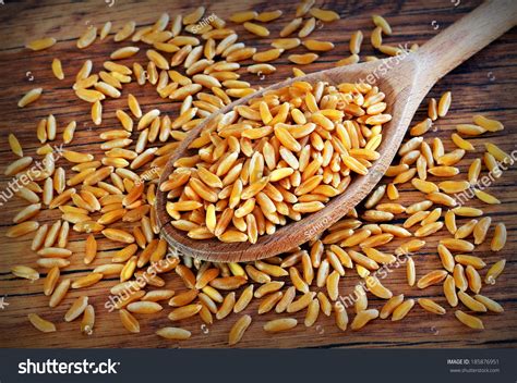 Khorasan Wheat Stock Photo 185876951 : Shutterstock