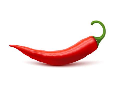 Chili Pepper Drawing Easy : Chili Drawing Pepper Svg Getdrawings ...