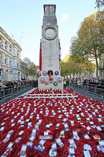 Poppies and wreathed on Remembrance Day at the Cenotaph Framed Photos