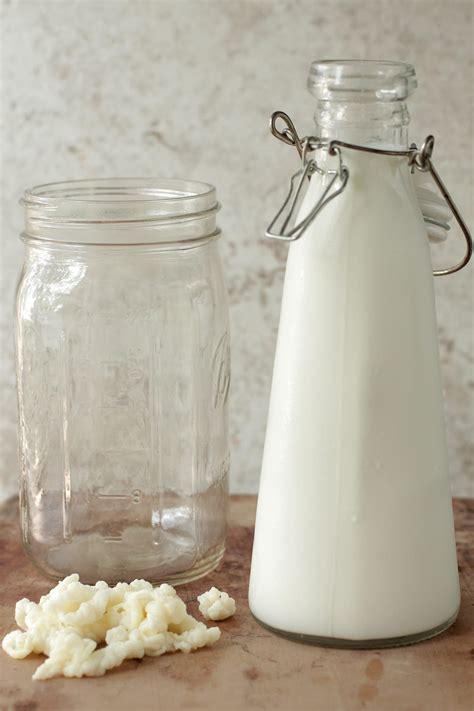 How to Make Milk Kefir: Step-by-Step Guide - Live Simply